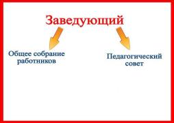 Структура организации